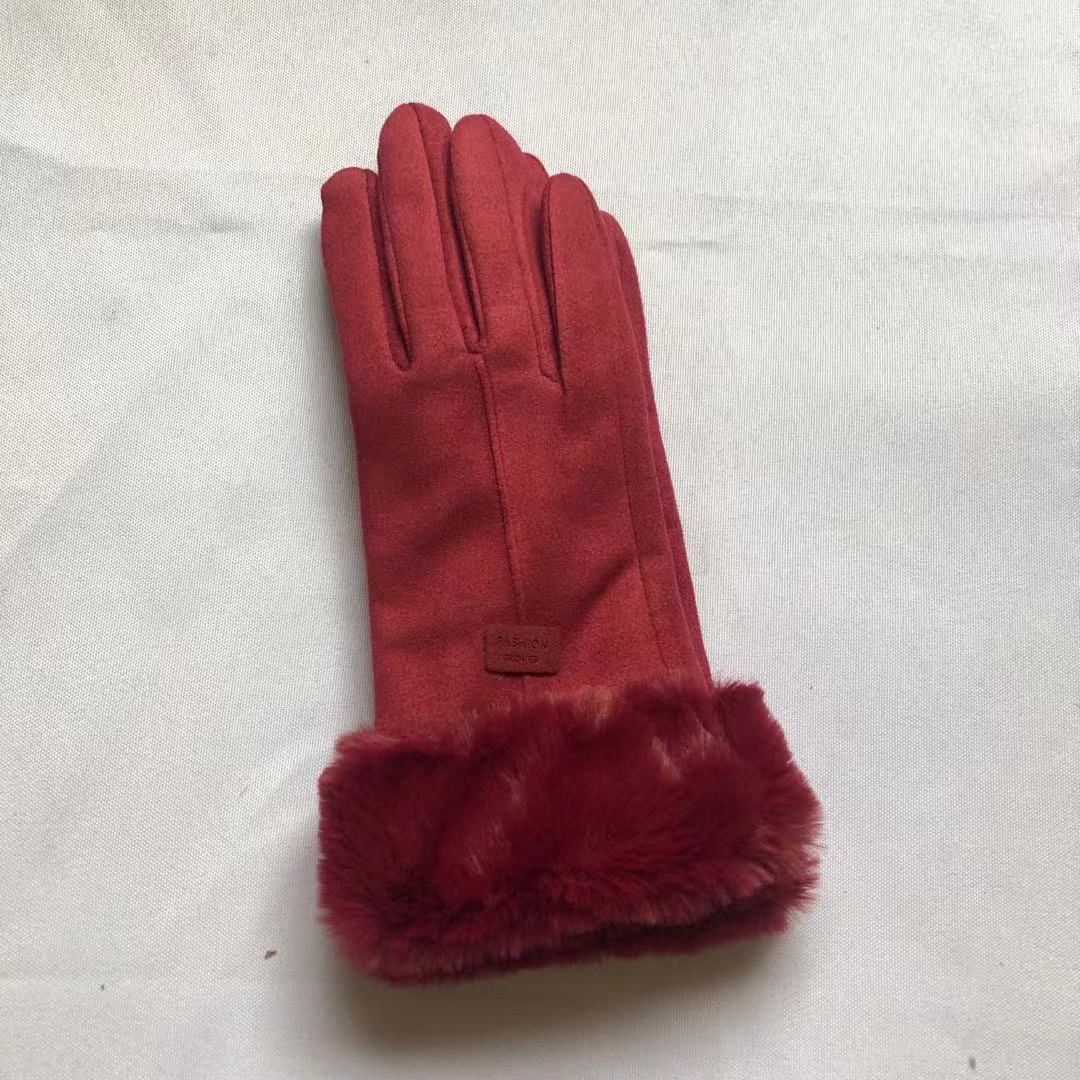 Dames Winterhandschoenen van Fluweel en Suède