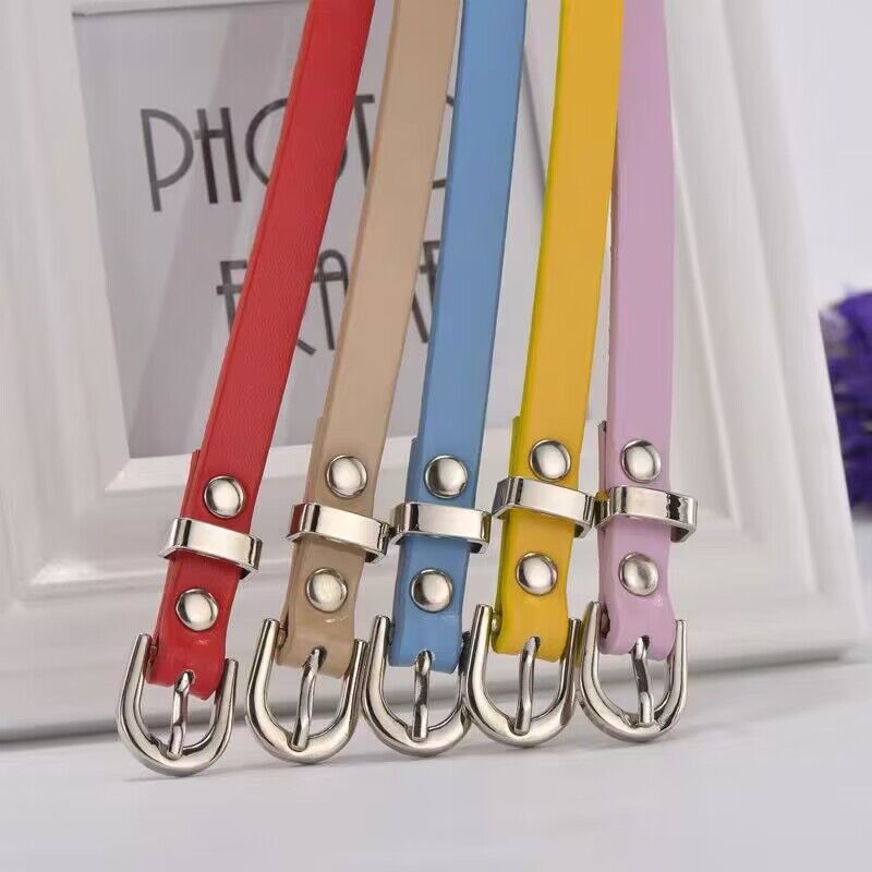 Damesriem